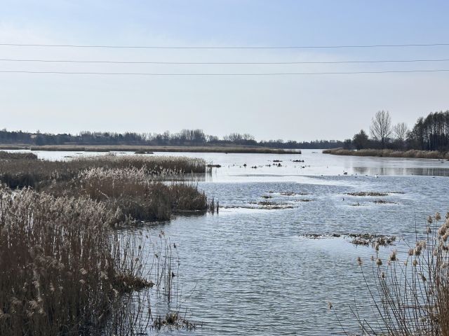 dom wolnostojący, 5 pokoi Piotrków Trybunalski Wierzeje, Jeziorna II ul. Regatowa. Zdjęcie 8