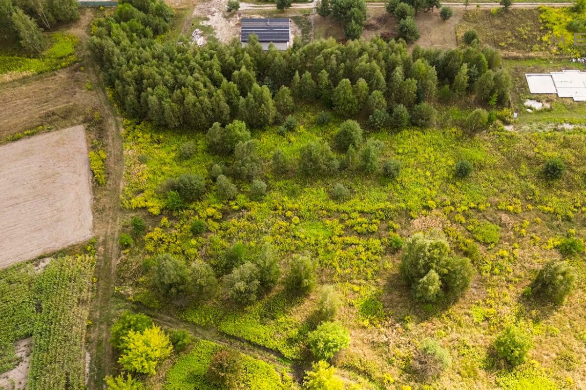 Działka inwestycyjna Feliksów, ul. Zajęcza. Zdjęcie 5