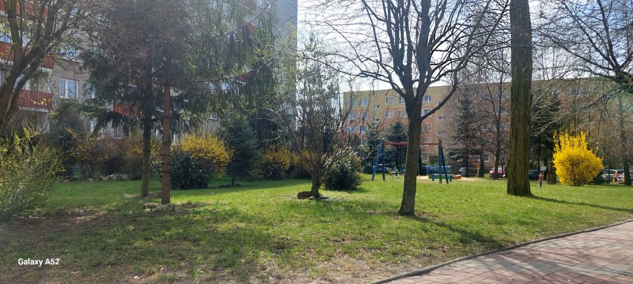 Mieszkanie 2-pokojowe Częstochowa Trzech Wieszczów, Zygmunta Krasińskiego. Zdjęcie 18