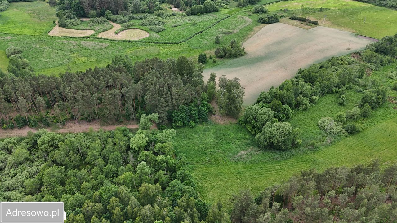 Działka rolna Gorczeniczka. Zdjęcie 5