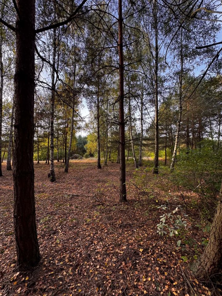 Działka budowlana Łokietnica. Zdjęcie 1