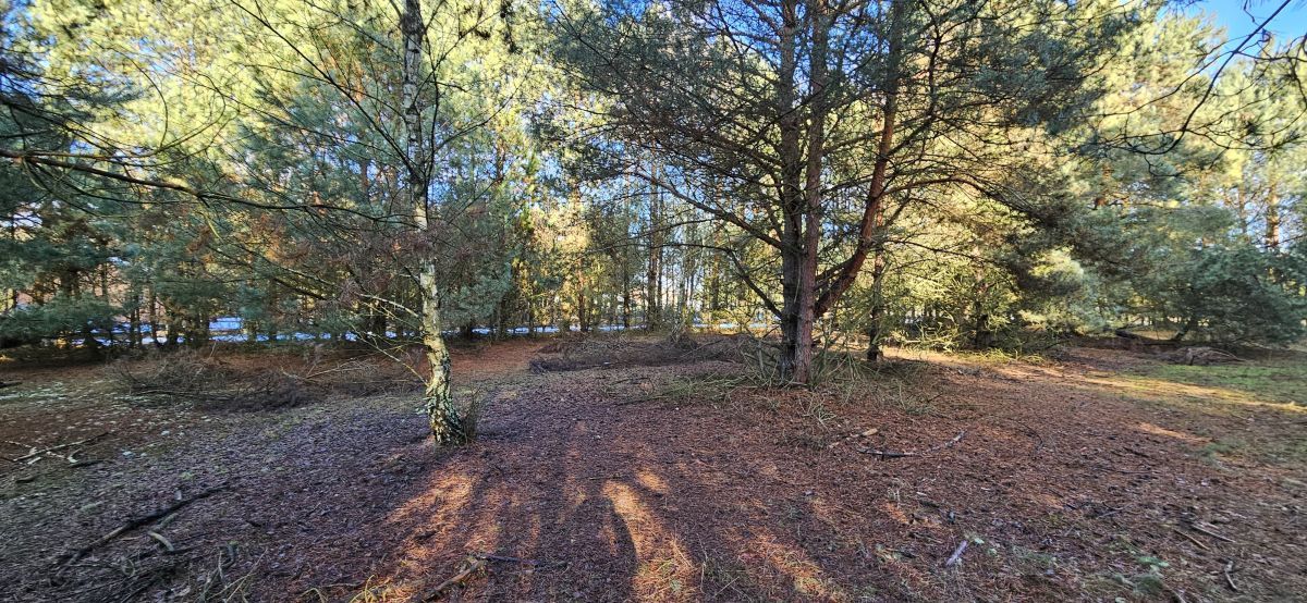 Działka budowlana Drogoszowice. Zdjęcie 2