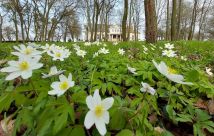 dworek Powodowo. Zdjęcie 4