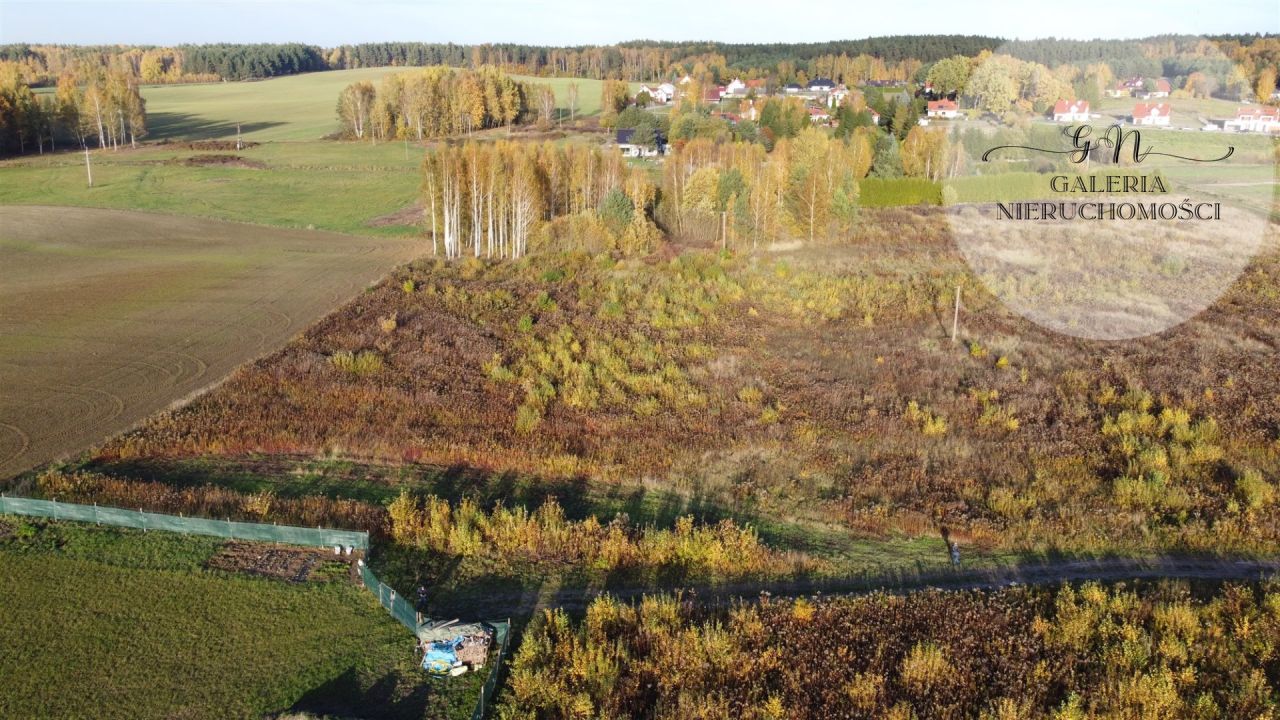 Działka Tomaszkowo. Zdjęcie 1