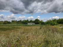 Działka rolno-budowlana Drezdenko. Zdjęcie 1