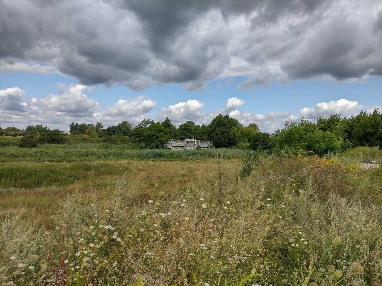 Działka rolno-budowlana Drezdenko. Zdjęcie 2