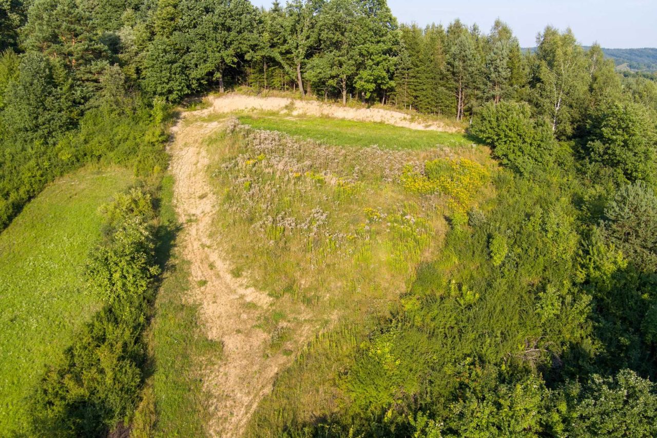 Działka rolno-budowlana Hoczew. Zdjęcie 5