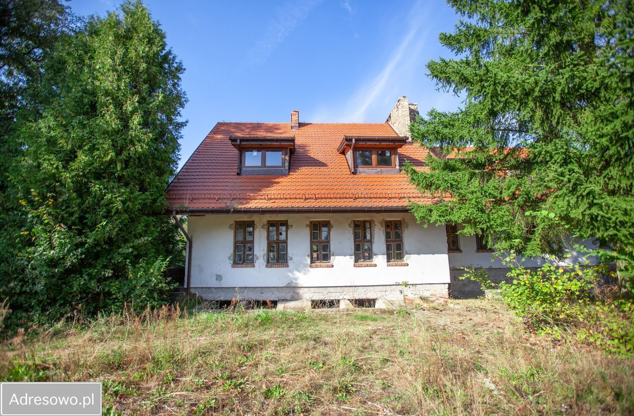 Nieruchomość komercyjna Babigoszcz. Zdjęcie 3