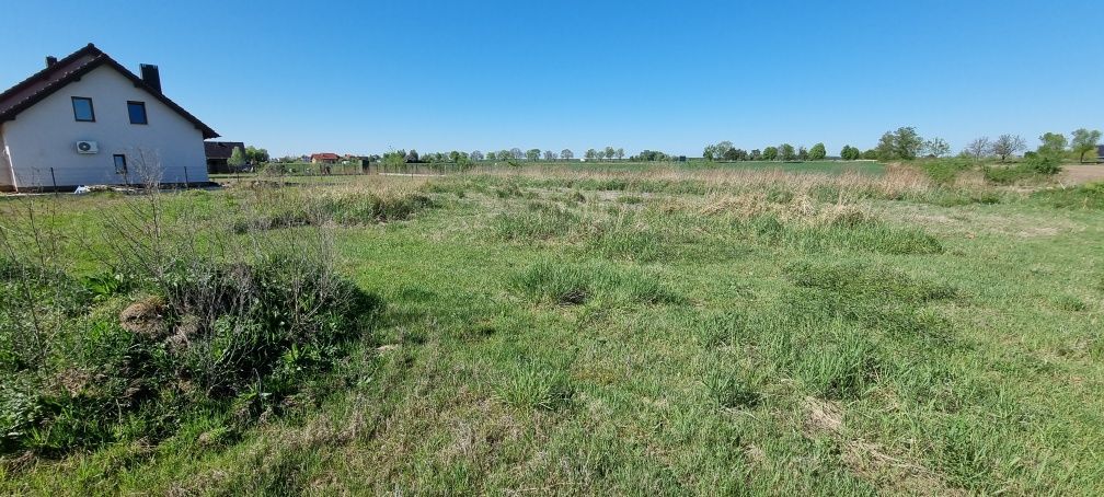 Działka budowlana Jankowice. Zdjęcie 6