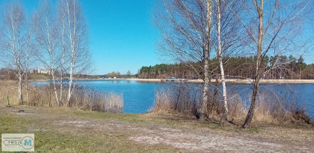 Działka leśna Morawica. Zdjęcie 12