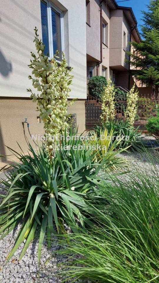 bliźniak, 6 pokoi Tomaszów Mazowiecki. Zdjęcie 25