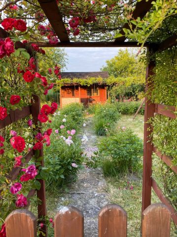 Działka rod Lublin, ul. Zawilcowa. Zdjęcie 1