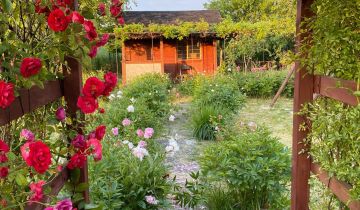 Działka rod Lublin, ul. Zawilcowa