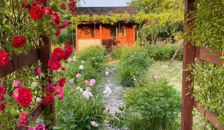 Działka rod Lublin, ul. Zawilcowa