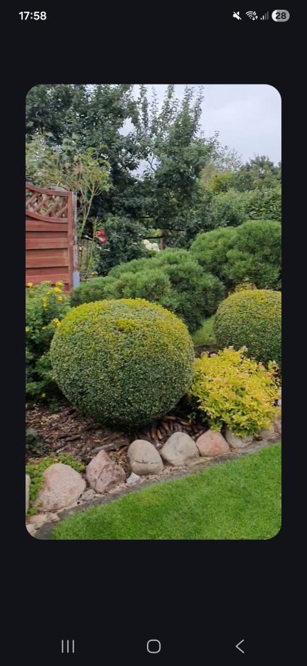 Działka rod Złotów, ul. Jastrowska. Zdjęcie 3