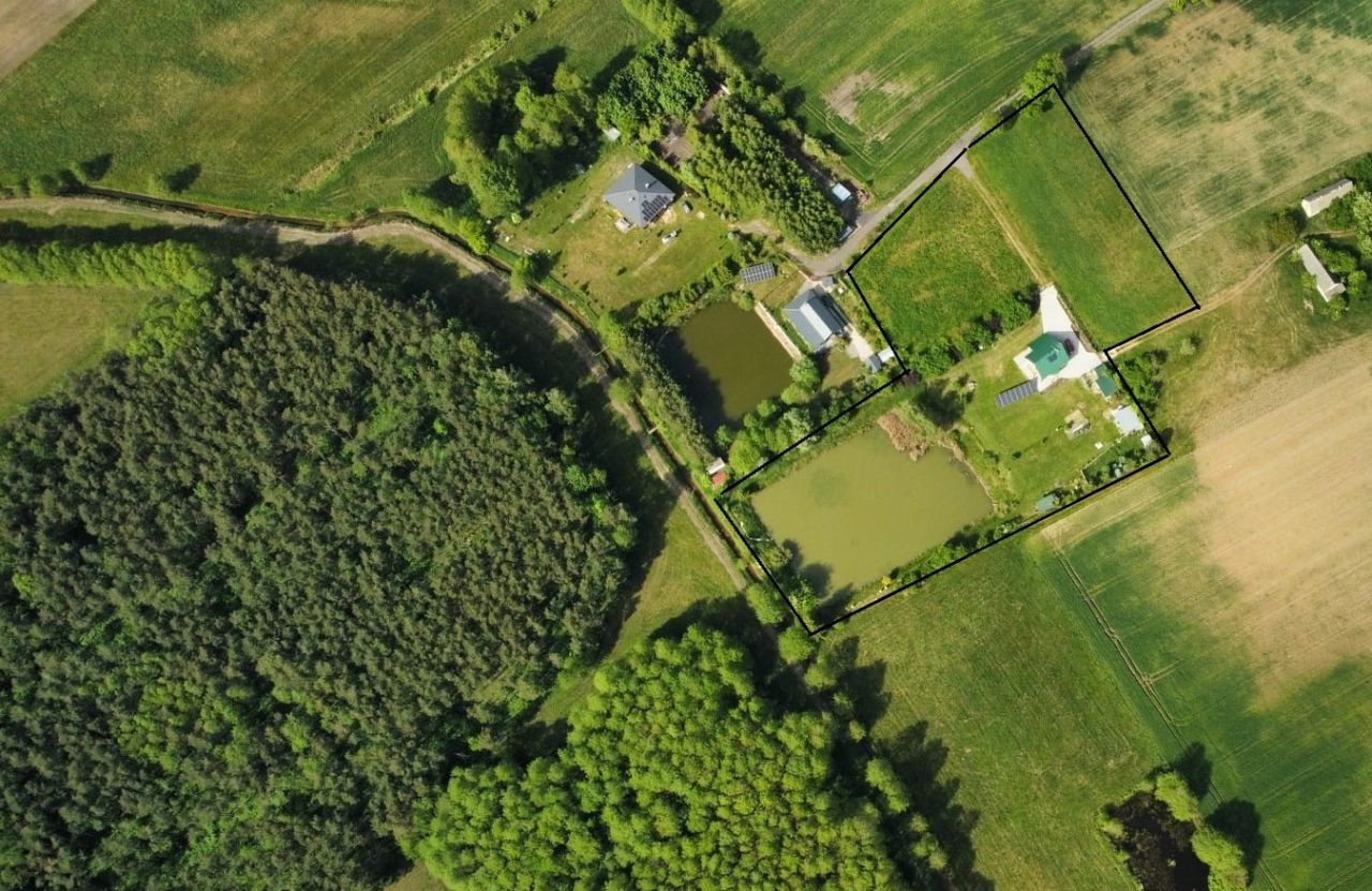 dom wolnostojący, 4 pokoje Tołów. Zdjęcie 3