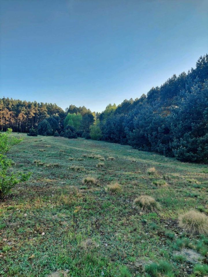 Działka rekreacyjna Kolonia Ldzań. Zdjęcie 3