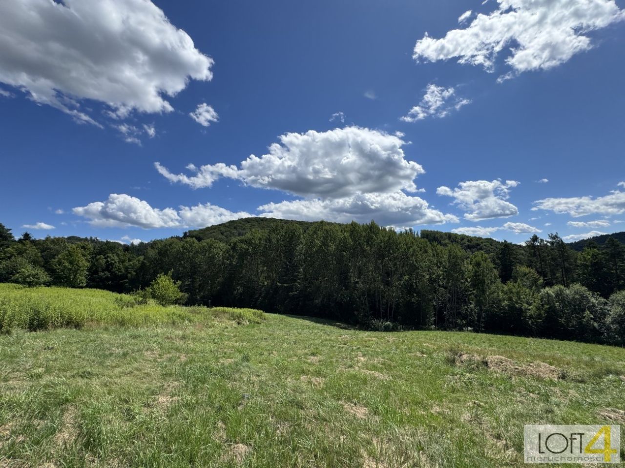 Działka budowlana Paleśnica. Zdjęcie 9