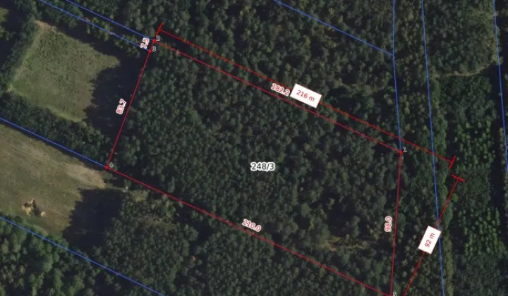 Działka leśna Miszewo Wielkie