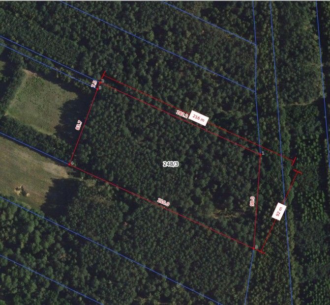 Działka leśna Miszewo Wielkie