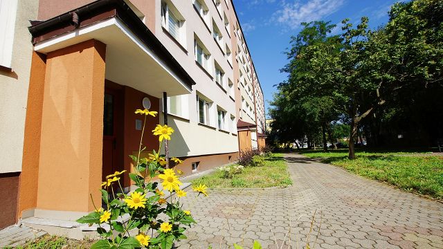 Mieszkanie 2-pokojowe Płock, ul. Kajetana Morykoniego. Zdjęcie 2