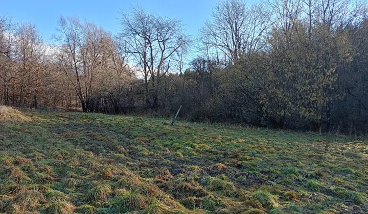 Działka rekreacyjna Zabratówka