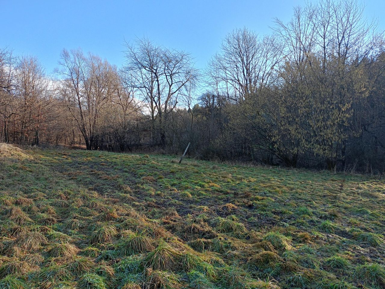 Działka rekreacyjna Zabratówka. Zdjęcie 1