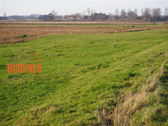 Działka rolna Krupy. Zdjęcie 4