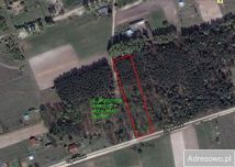 Działka leśna Sierzchów, ul. Brzozowa. Zdjęcie 2