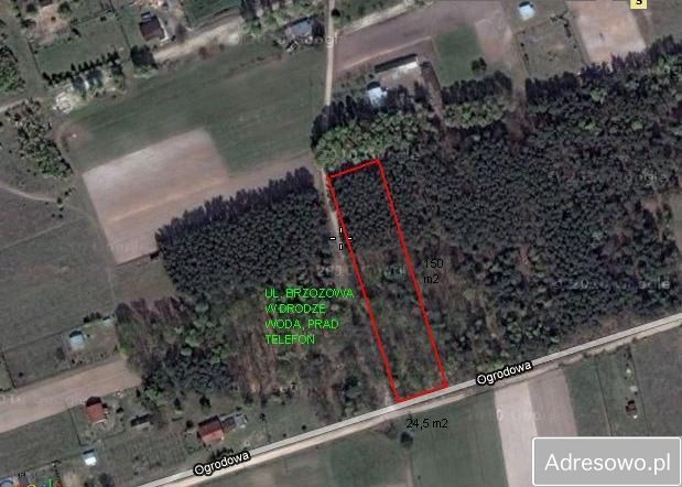 Działka leśna Sierzchów, ul. Brzozowa. Zdjęcie 3