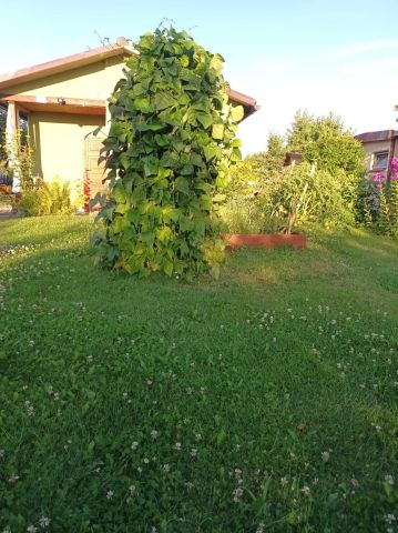 Działka rekreacyjna Trzcianka. Zdjęcie 1