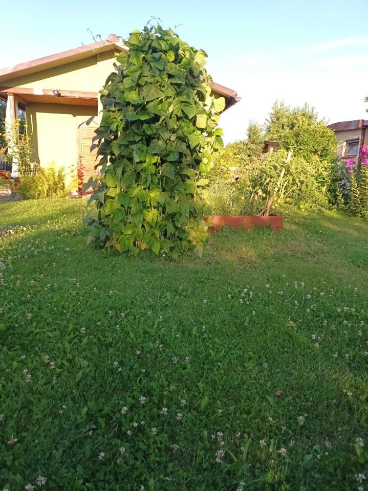 Działka rekreacyjna Trzcianka