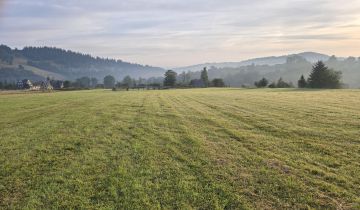 Działka rolna Zakopane Bachledzki Wierch, ul. Wojdyły