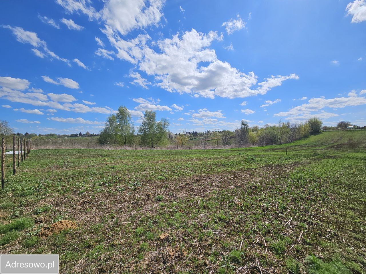 Działka budowlana Dąbrowica, ul. Fiołkowa