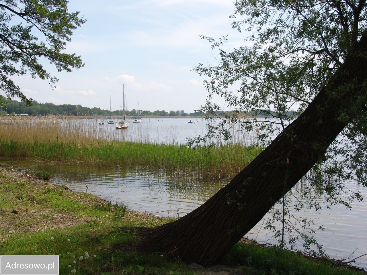 Działka inwestycyjna Zieleniewo, ul. ks. Jerzego Popiełuszki. Zdjęcie 7