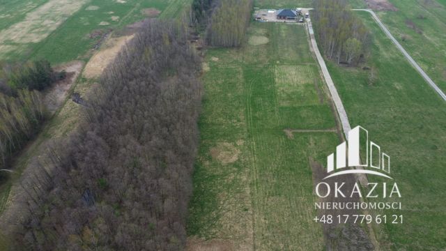 Działka Kolbuszowa Dolna. Zdjęcie 6