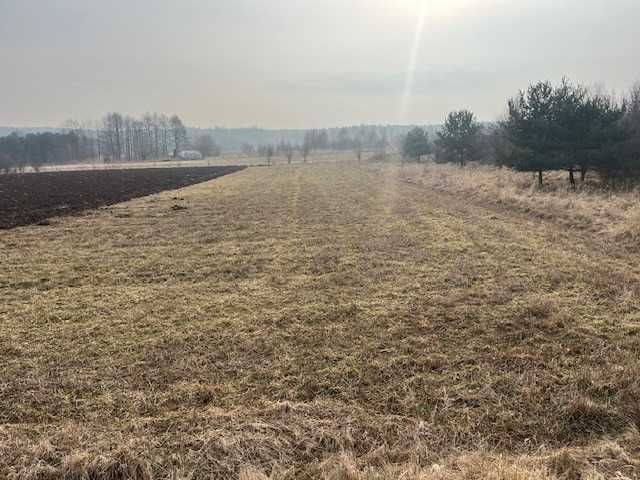 Działka budowlana Rzeniszów, ul. ks. Stanisława Zapałowskiego. Zdjęcie 1