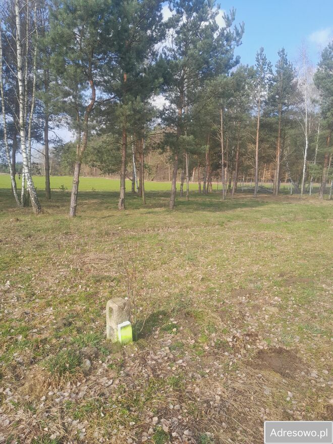 Działka budowlana Budy Trzcińskie. Zdjęcie 5