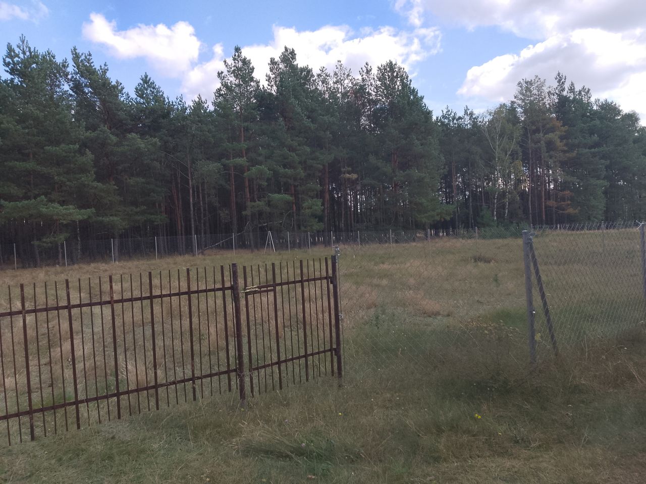 Działka budowlana Lubiewice. Zdjęcie 18
