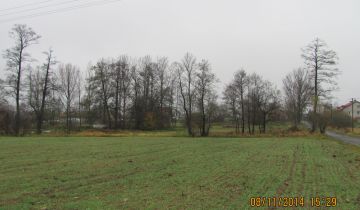 Działka siedliskowa Łódź Bałuty, ul. Drozdowa