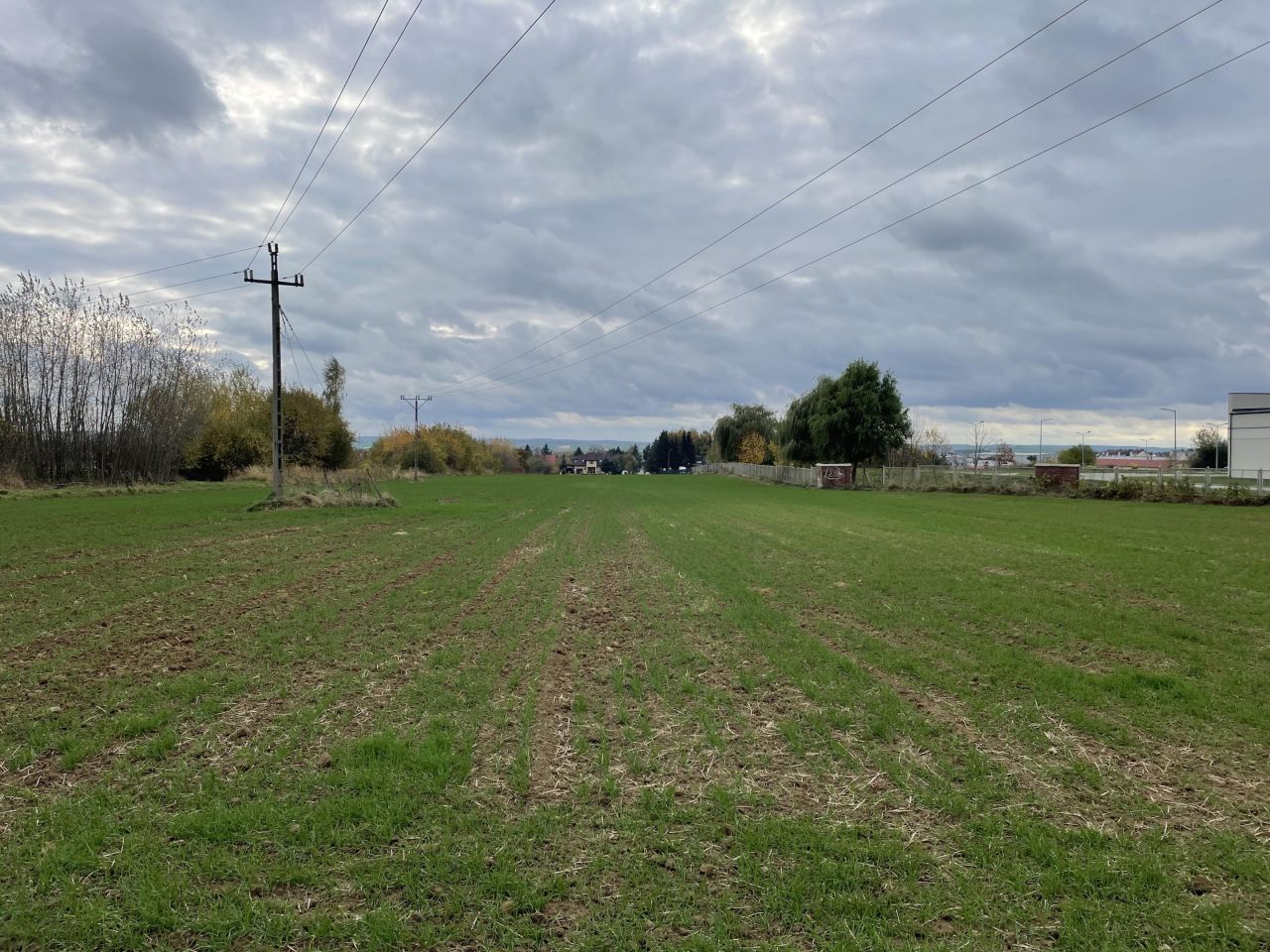 Działka budowlana Kalinowice. Zdjęcie 9