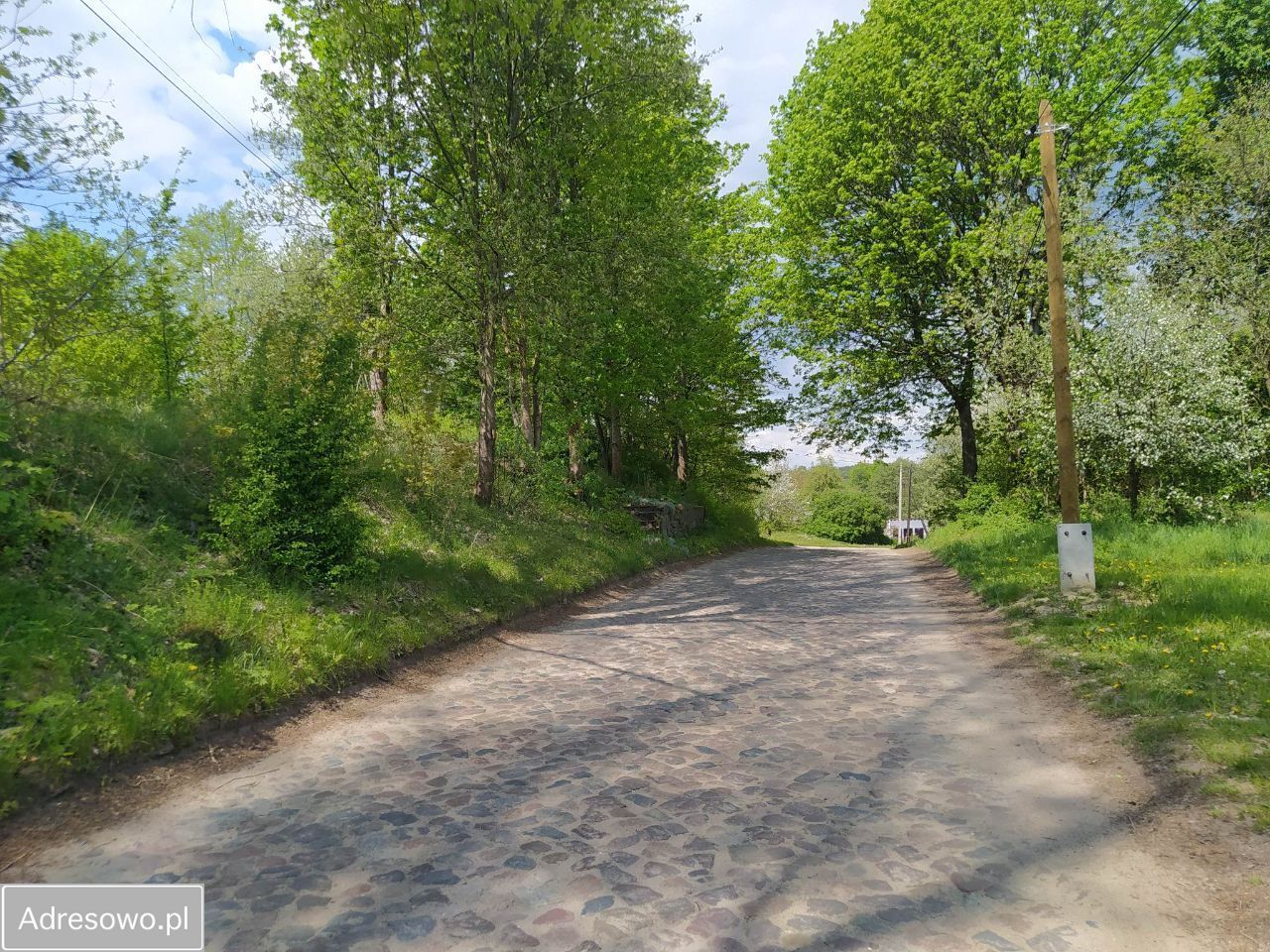 Działka rolno-budowlana Rzepowo. Zdjęcie 9