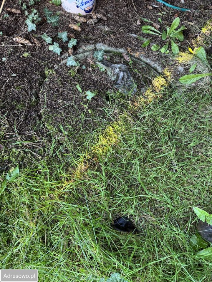 Działka budowlana Radom Idalin, ul. Władysława Syrokomli. Zdjęcie 3