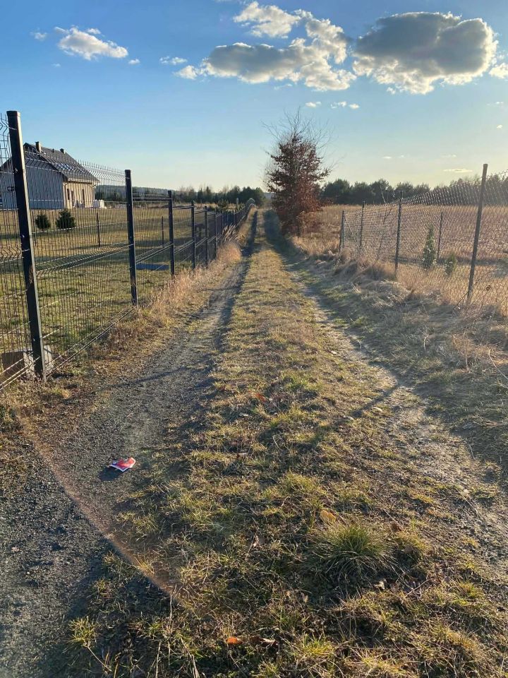 Działka rolna Lubieszewo. Zdjęcie 3