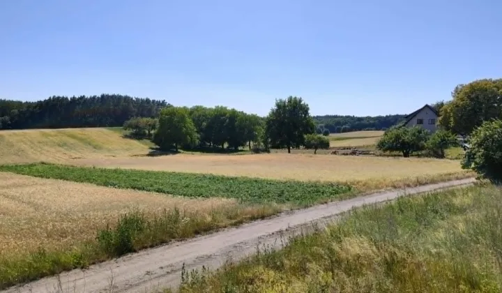 Działka budowlana Dębe, ul. Na Wiatrak
