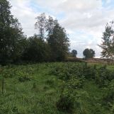 Działka rolno-budowlana Słoneczna Frankowizna. Zdjęcie 3