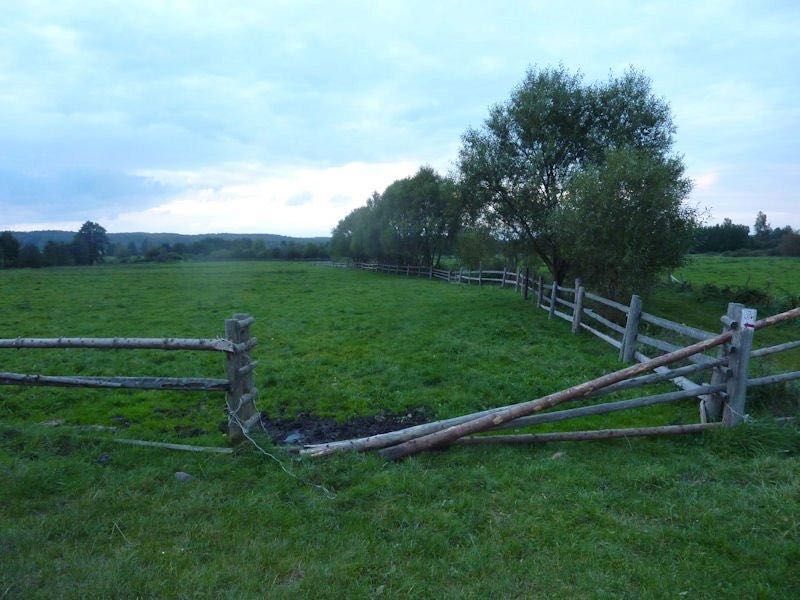 Działka siedliskowa Zelewo. Zdjęcie 5