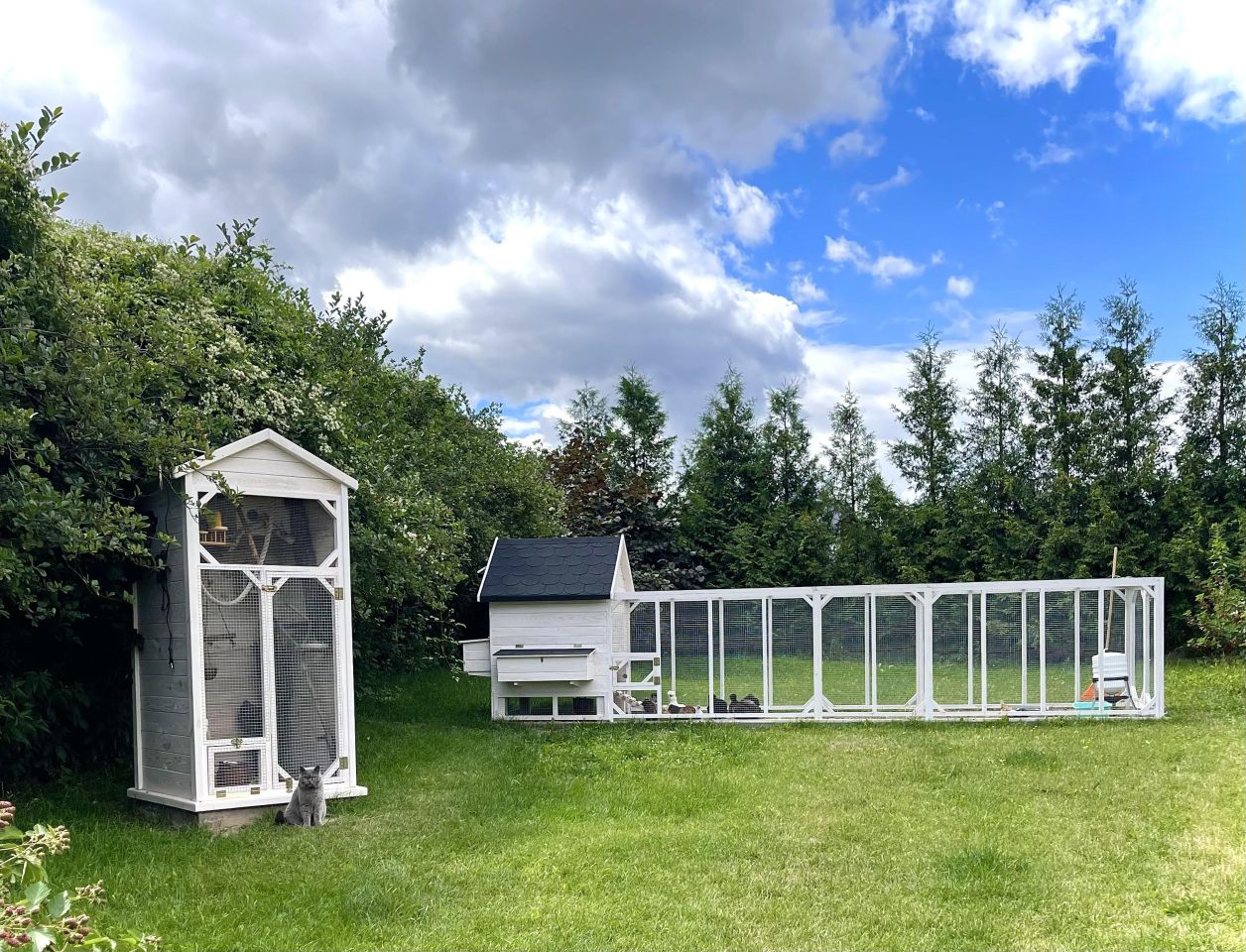 dom wolnostojący, 4 pokoje Kijany Kijany Kościelne. Zdjęcie 32