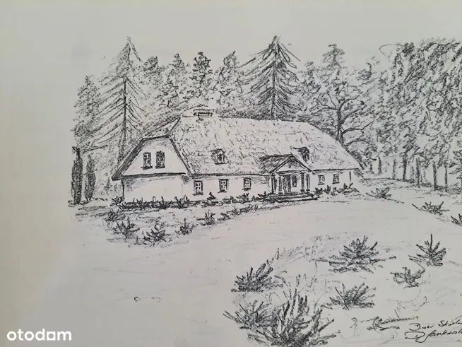 Działka inna Skorki. Zdjęcie 3