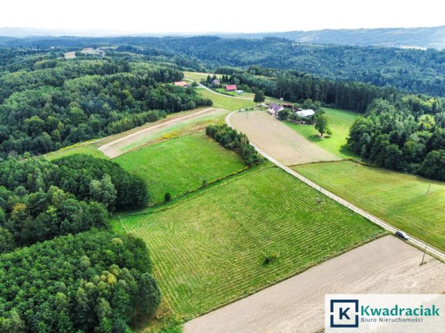 Działka budowlana Huta Gogołowska. Zdjęcie 10